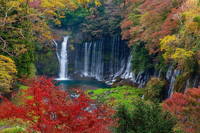 Private Mount Fuji and Hakone City Tour In luxury car from Tokyo - How the 10 hours 20 minutes adds up in real life