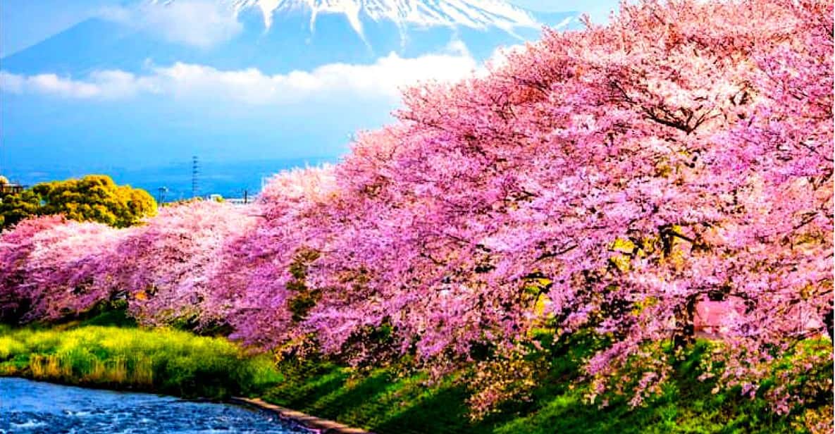 Private Mount Fuji sightseeing Day trip with English Guide - Key things I’d focus on before you go