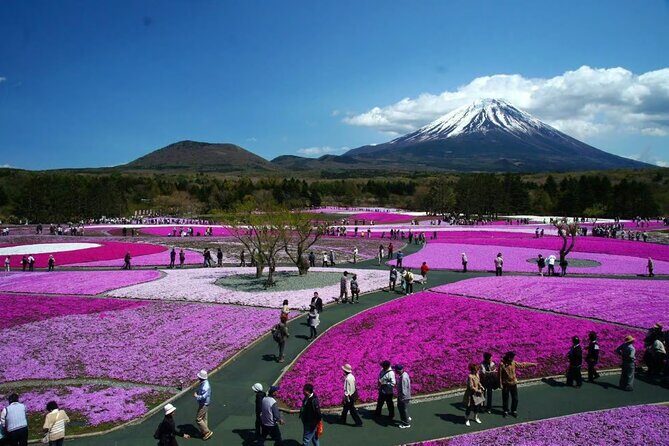 Private Mount Fuji Tour in Luxury Vehicle with English Guide - Stop 1: Mt. Fuji Subaru Line 5th Station and the viewpoint payoff