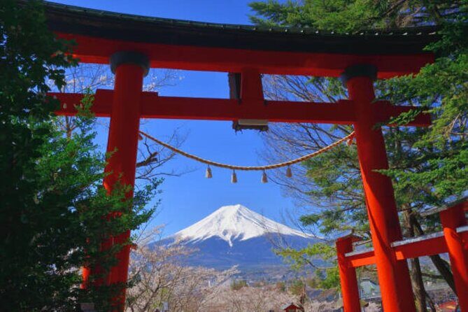 Private Mount Fuji Tour in Luxury Vehicle with English Guide - Arakurayama Sengen Park and the Chureito Pagoda viewpoint