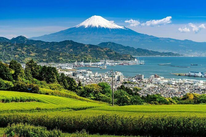 Private Mount Fuji Tour in Luxury Vehicle with English Guide - Oshino Hakkai: the quiet eight-pond contrast