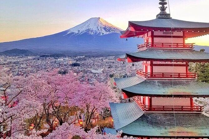 Private Mount Fuji Tour in Luxury Vehicle with English Guide - Oishi Park: lake views plus seasonal flower walks