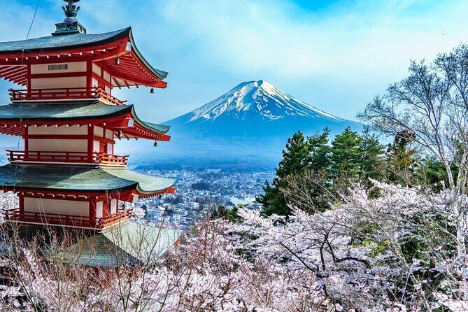 Private Mount Fuji Tour in Luxury Vehicle with English Guide - Your ride from Shibuya: Wi‑Fi, timing, and why the pacing feels calmer