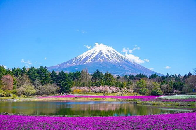 Private Mount Fuji Tours with Car Pickup from Tokyo - Key points worth knowing before you go