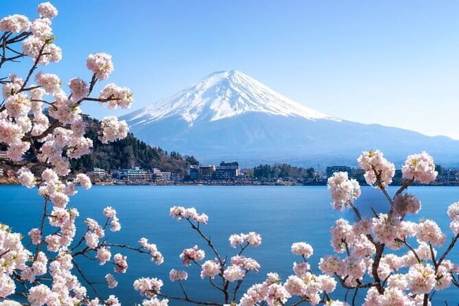 Private Mount Fuji Tours with Car Pickup from Tokyo - Chureito Pagoda at Arakura Sengen Shrine: the Fuji photo classic