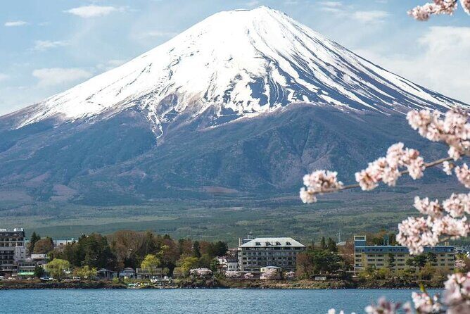 Private Mt. Fuji Custom Tour from Tokyo - Mount Fuji viewing time: your one-hour window for the big moments
