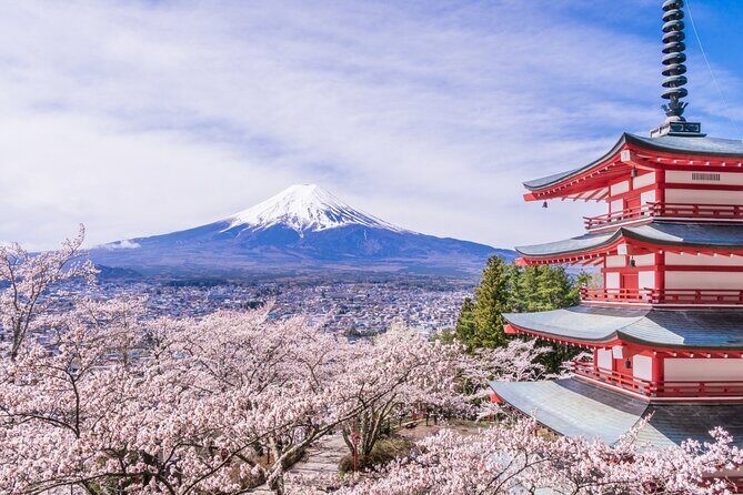 Private Mt. Fuji Custom Tour from Tokyo - The custom “transfer” model: what to expect in practice