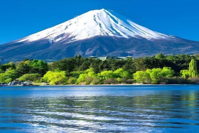 Private Mt. Fuji Day Trip from Tokyo with English-Speaking Driver - Price and what’s included: where your $332.60 goes
