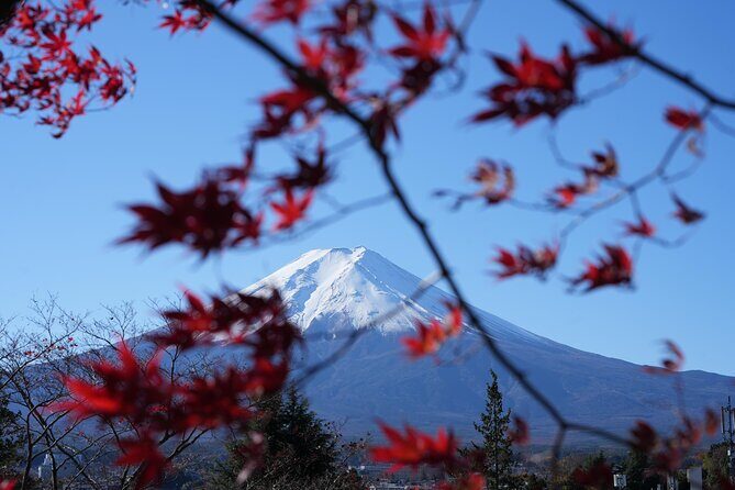 Private Mt. Fuji Day Trip from Tokyo with English-Speaking Driver - Arakura Fuji Sengen Shrine and the Chureito Pagoda photo zone