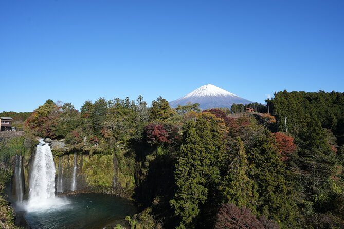 Private Mt. Fuji Day Trip from Tokyo with English-Speaking Driver - The Kachi-Kachi Ropeway and Oishi Park for varied Fuji angles