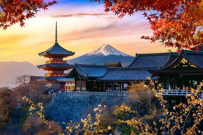 Private Mt. Fuji Day Trip from Tokyo with English-Speaking Driver - Mt. Fuji 5th Station: worth it if you can handle the extra ticket
