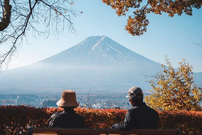Private Mt Fuji, Hakone and Tokyo Tour - English Speaking Driver - Entering Mt. Fuji and Hakone without the Tokyo maze