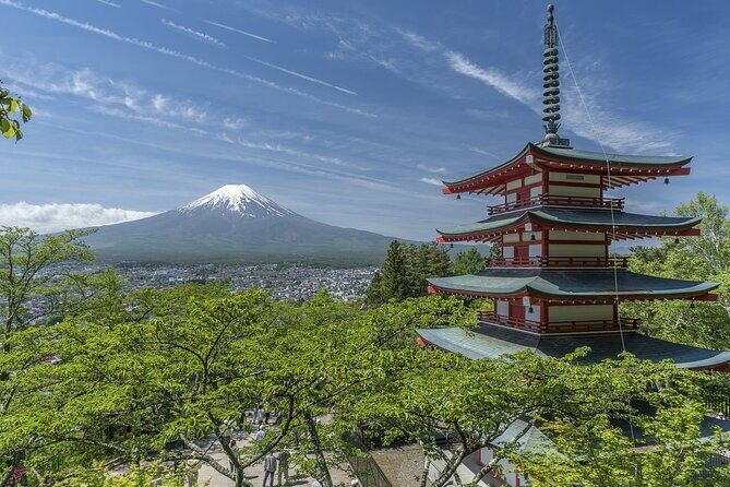 Private Mt Fuji, Hakone and Tokyo Tour - English Speaking Driver - Oshino Hakkai: Fuji water springs you can actually see