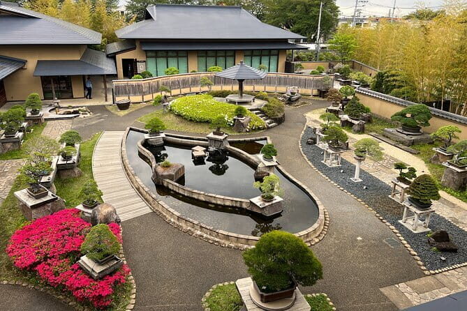 Private Omiya Bonsai Village Tour with Licensed Guide - Key Highlights You’ll Care About