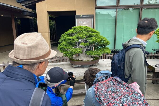 Private Omiya Bonsai Village Tour with Licensed Guide - A Private Half-Day Escape from Tokyo Into Omiya Bonsai Village