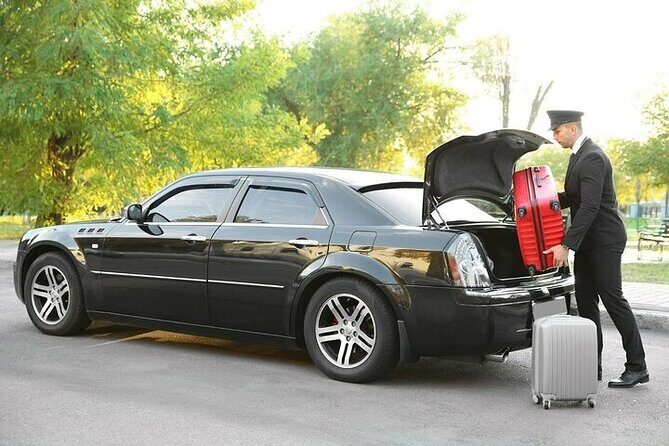 Private One-way Transfer Narita Airport To Tokyo - Family needs: child seats, booster seats, and pets