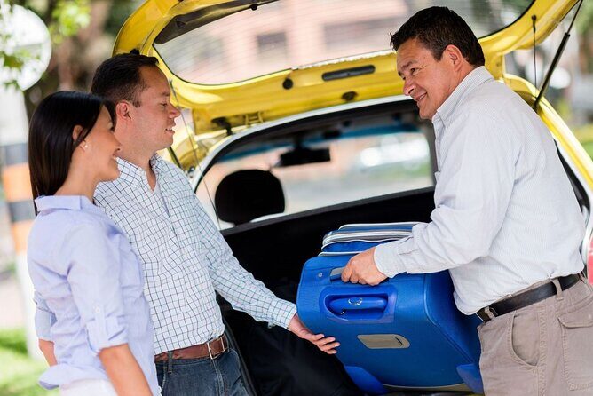 Private One-way Transfer Narita Airport To Tokyo - Pickup at Narita: how the meet-and-greet should work