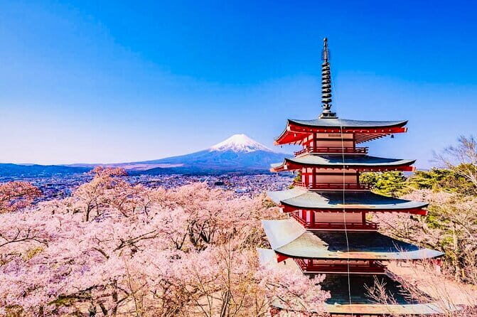 Private Sightseeing to Mt Fuji and Hakone with English Driver - Key Highlights I’d Block Time For