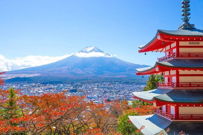 Private Sightseeing to Mt Fuji and Hakone with English Driver - Oishi Park on Lake Kawaguchiko: Flowers, 350m Walks, and Blueberry Comfort Food