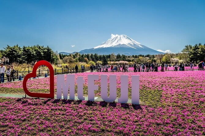 Private Sightseeing to Mt Fuji and Hakone with English Driver - Mt Fuji 5th Station by Car: Toll Roads, Snow Risks, and Seasonal Shuttle Rules