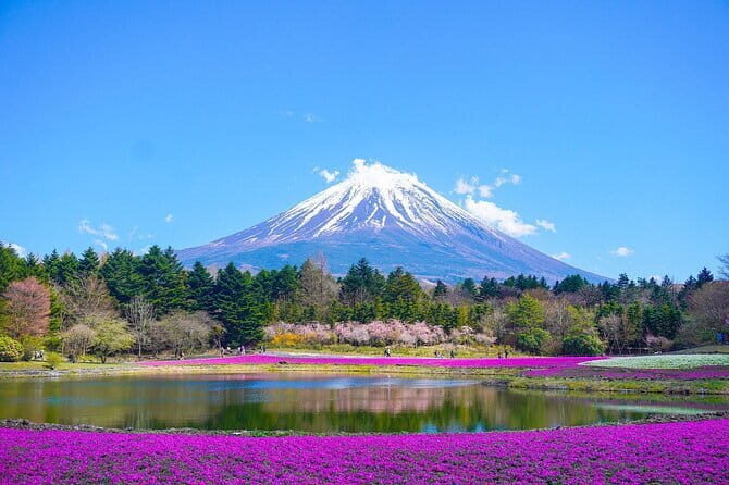 Private Sightseeing to Mt Fuji and Hakone with English Driver - Private Car From Tokyo With an English Driver: How It Helps Your Day