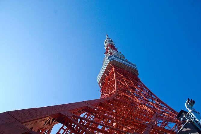 Private Tokyo Custom Full-Day Tour by Chartered Vehicle - Meiji Jingu: the calm pocket after busy streets