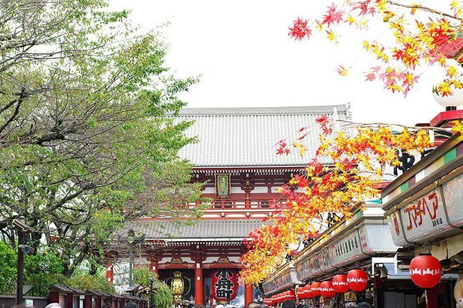 Private Tokyo Custom Full-Day Tour by Chartered Vehicle - Harajuku Station and Takeshita Street: playful, loud, and easy to sample