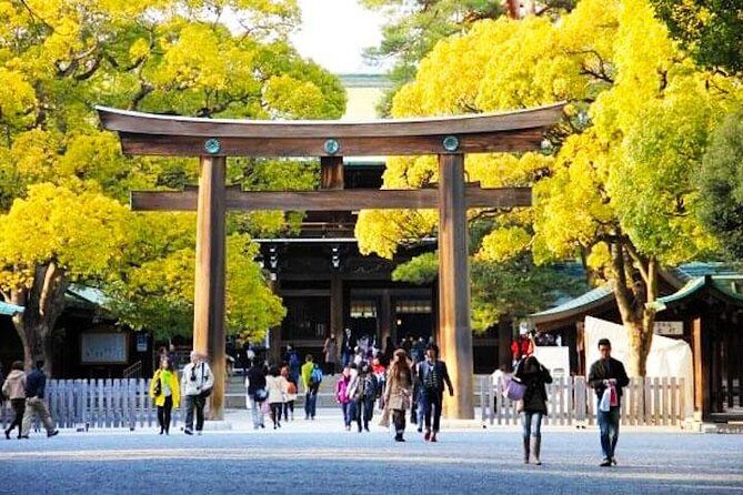 Private Tokyo Custom Half-Day Tour by Chartered Vehicle - A 4-Hour Custom Plan: Picking Your Tokyo Mix Without Running Out of Steam