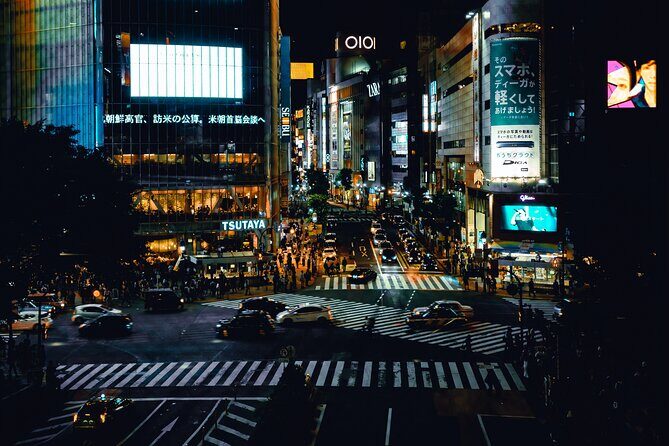 Private Tokyo Day-Tour by Car with English Speaking Guide. - Price and value: what you’re really paying for