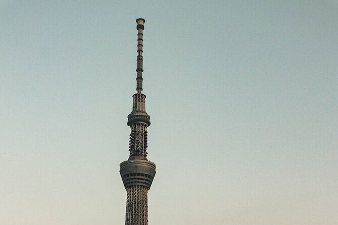 Private Tokyo Day-Tour by Car with English Speaking Guide. - Getting picked up and managing the day’s timing