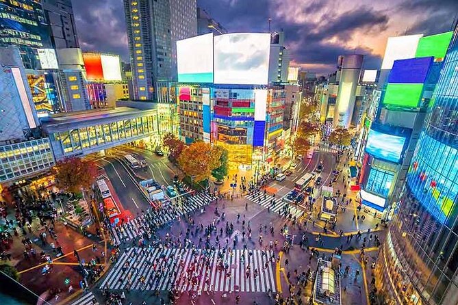 Private Tokyo Tour with English Speaking Guide - A Smart Private Walk Across Tokyo’s Big Hits