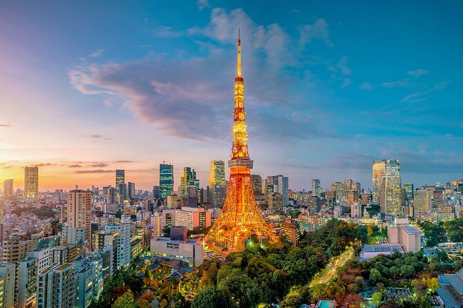 Private Tokyo Tour with English Speaking Guide - Tsukiji Outer Market and Akihabara: Food and Tech, Two Contrasts