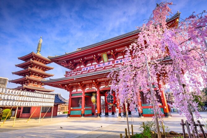 Private Tokyo Tour with English Speaking Guide - Starting at Tokyo Station: Pickup, Drop-Off, and Pace