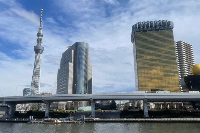 Private Tokyo Tour with Local Guide - Getting Your Bearings Fast with Public Transport Pickup