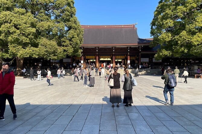 Private Tokyo Tour with Local Guide - Akihabara: Electronics, Anime Culture, and Practical Shopping Help