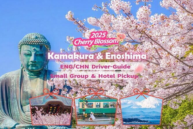 Private Tokyo Tour with Local Guide - The Guide Factor: What the Best Versions of This Tour Do