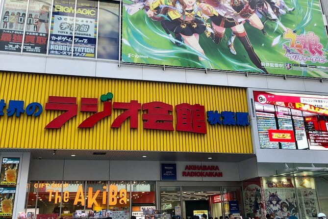 Private Tokyo with Exceptional Guide Tailored to Your Needs - Akihabara, Omotesando, and Takeshita Street: shopping with different vibes