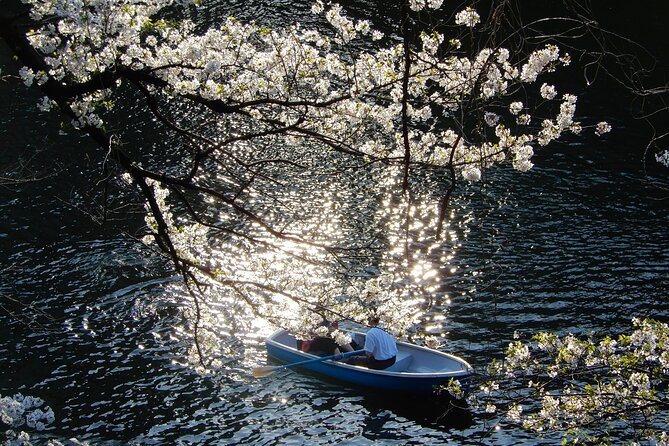 Private Tour - History, Art and Nature at the Imperial Palace - Wadakura Fountain Park: A Small Place With Big Symbolism