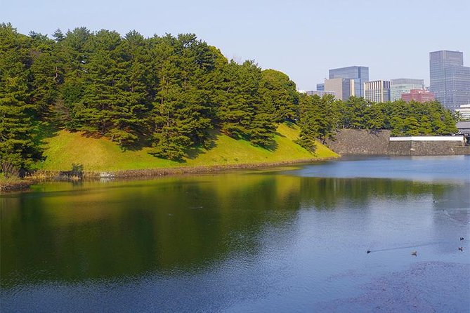 Private Tour - History, Art and Nature at the Imperial Palace - Chidorigafuchi: A Nature-Focused Photo Road in the City