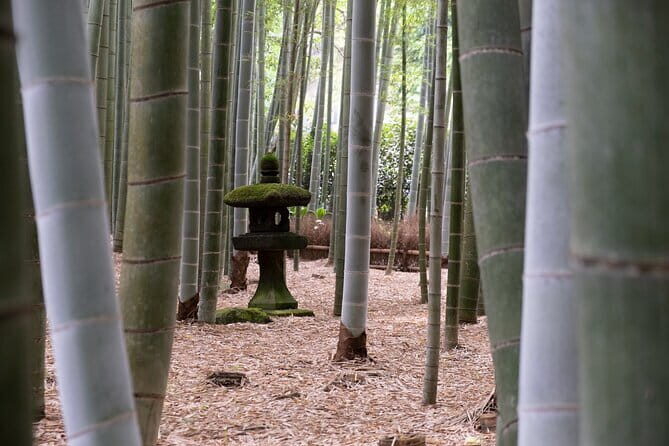 Private Tour in Kamakura: Matcha Tea Tasting & Photo Session - Stop 3 and 4: Jomyoji Zen Temple + Green Tea Tasting