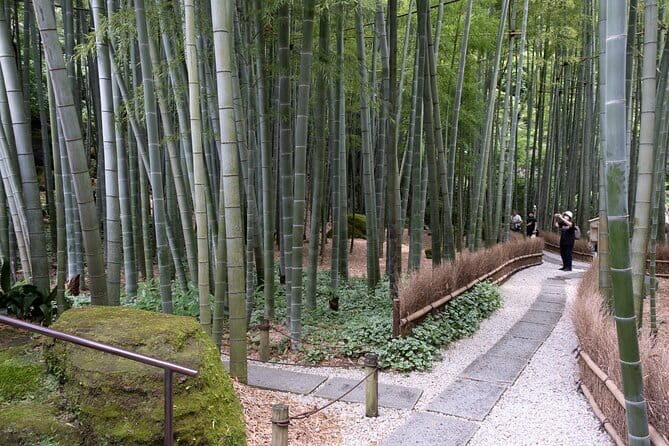 Private Tour in Kamakura: Matcha Tea Tasting & Photo Session - Starting at JR Kamakura Station (East Exit): Simple, Central, Efficient