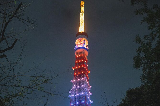 Private Tour in Tokyo with English speaking driver - Key highlights