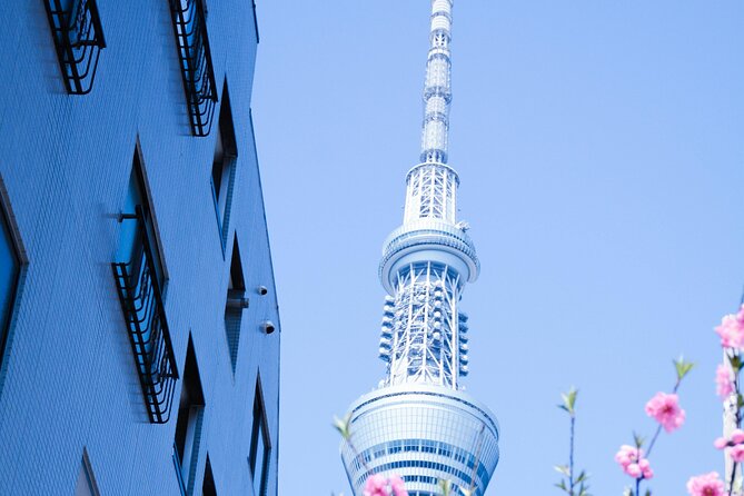 Private Tour in Tokyo with English speaking driver - Private Tokyo With an English-Speaking Chauffeur: What You’re Really Buying