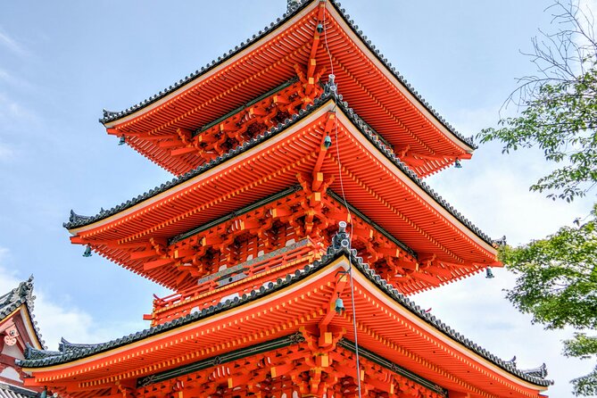 Private Tour in Tokyo with English speaking driver - Meiji Jingu, Yoyogi Park, and Takeshita: Tradition and Trend in One Breath