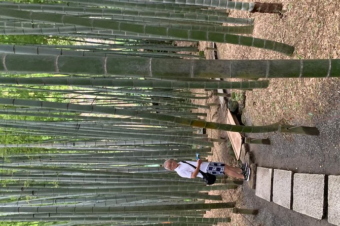 Private Tour Kamakura and Enoshima With Guide and photographer - The 10-hour plan: Kamakura mornings, Enoshima later