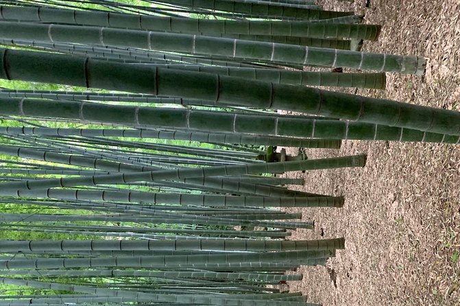 Private Tour Kamakura and Enoshima With Guide and photographer - Hokoku-ji Temple: a 14th-century bamboo reset