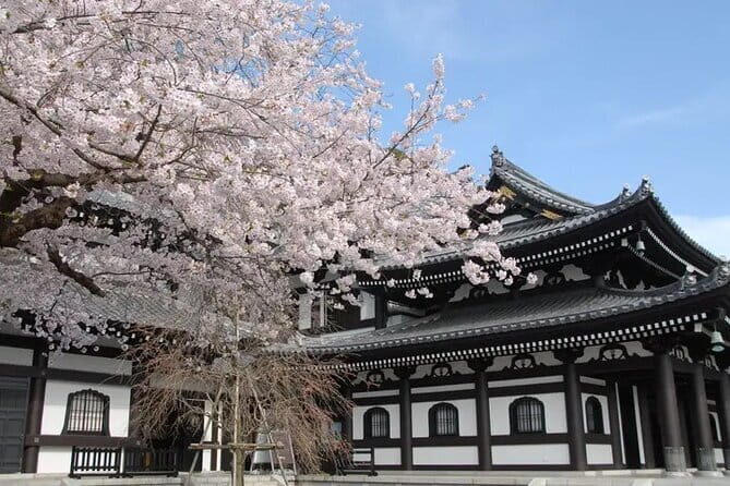 Private Tour Kamakura Yokohama Day Trip English speaking driver - How This Private Day Trip Makes Tokyo Feel Smaller