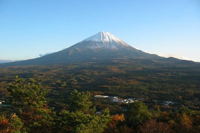 Private Tour of Mt. Fuji Culture and Nature Walk - A Mt. Fuji tour where meaning comes with the views