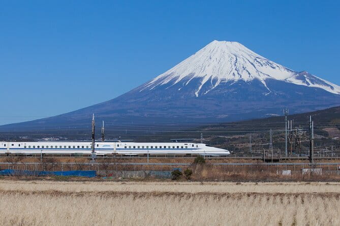 Private tour - Scenic Fuji Escape: Hakone, Peace Park & More - Mt. Fuji 5th Station: a different kind of Fuji viewpoint