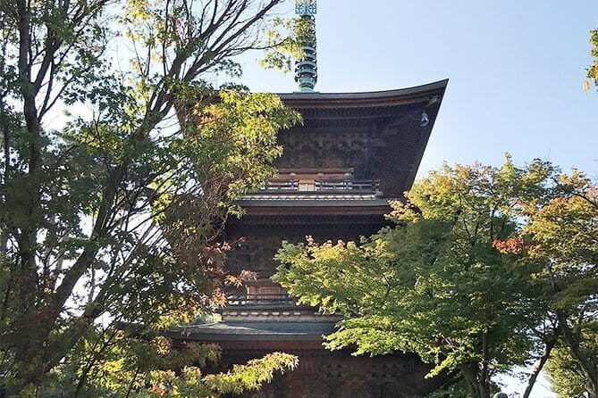 Private Tour - Thousands of lucky cats! Go by tram, Gotokuji Tour - A Quiet Tokyo Cat Hunt on the Tram